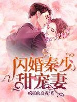 《闪婚秦少甜宠妻》