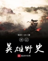 《宋辽英雄野史》