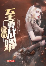 《都市至尊战婿》