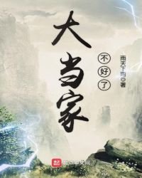 《大当家不好了》