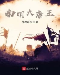 《南明大唐王》