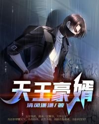 《天王豪婿》