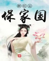 《醉红尘保家国》