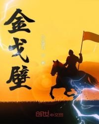《金戈壁》