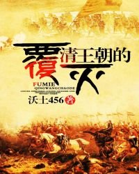 《清王朝的覆灭》