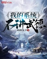 《我的系统不讲武德》