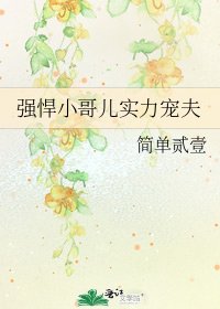 《强悍小哥儿实力宠夫》