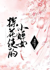 《探花使的小婢女》