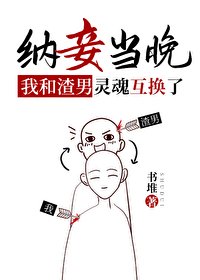 《纳妾当晚,我和渣男灵魂互换了》