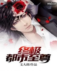 《终极都市至尊》