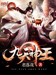 《九天神王》