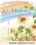 《晴天里的向日葵》