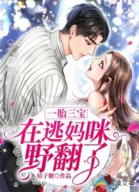 一胎三宝：在逃妈咪野翻了