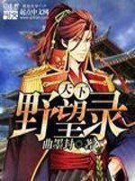 《天下野望录》