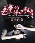 《恶魔的十三弦音》