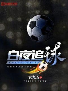 《白夜追球》