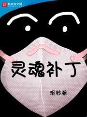 《灵魂补丁》