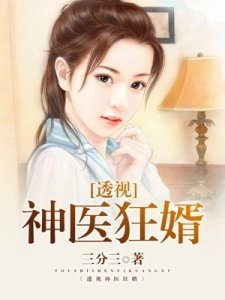 《透视神医狂婿》