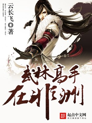 《武林高手在非洲》