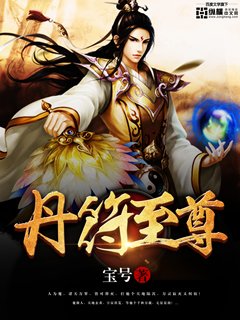 《丹符至尊》