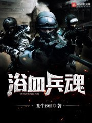 《浴血兵魂》