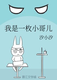 《我是一枚小哥儿》