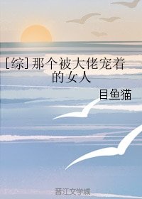 《(BG/综漫同人)那个被大佬宠着的女人》