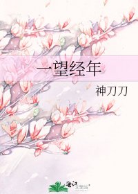 《一望经年》