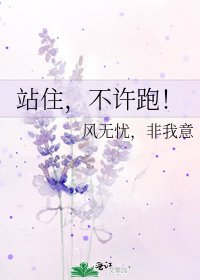 《站住,不许跑!》