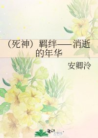 《(死神)羁绊——消逝的年华》