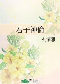 《君子神偷》