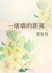 一堵墙的距离