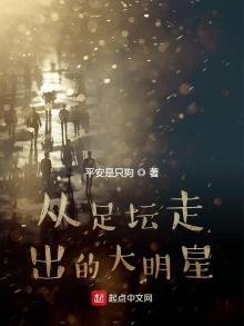 《从足坛走出的大明星》