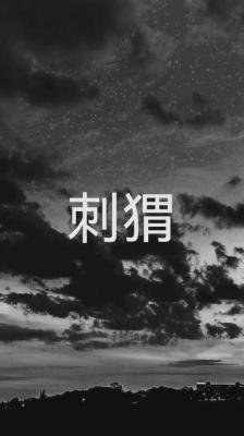 《刺猬》