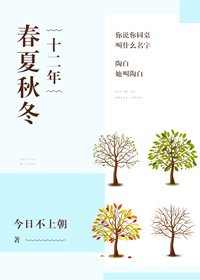 《十二年春夏秋冬》