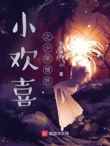 《小欢喜之少年情怀》