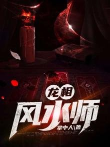 《龙相风水师》