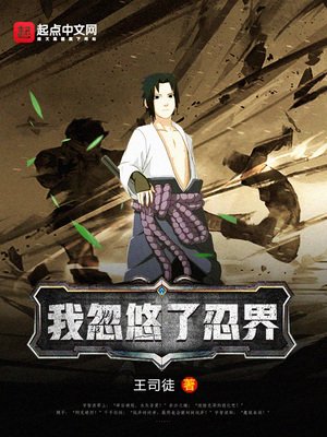 《我忽悠了忍界》