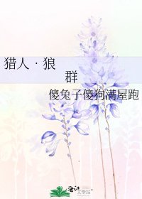 《猎人•狼群》