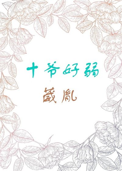 《清穿之十爷好弱》