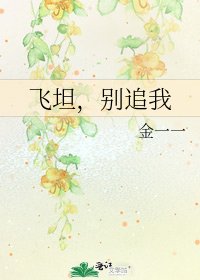 《飞坦,别追我》