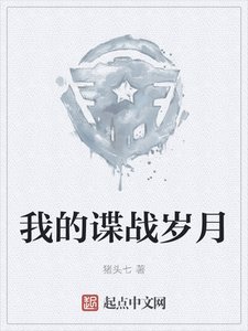《我的谍战岁月》