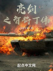 《亮剑之智将丁伟》