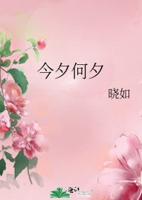 《今夕何夕》