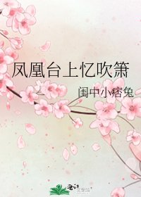 《凤凰台上忆吹箫》