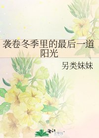 《袭卷冬季里的最后一道阳光》