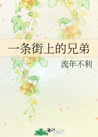 《一条街上的兄弟》