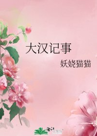 《大汉记事》