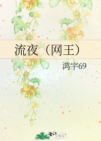 《流夜(网王)》