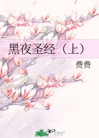 《黑夜圣经(上)》